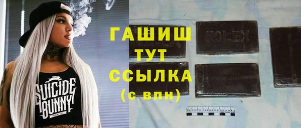 прущие грибы Алзамай