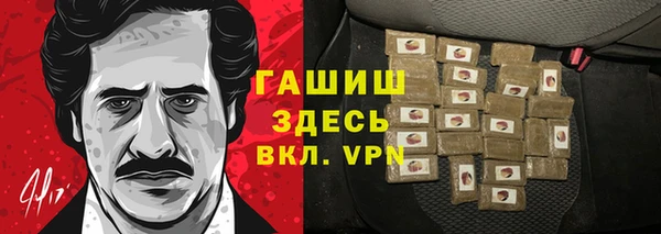 прущие грибы Алзамай