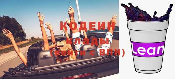 прущие грибы Алзамай