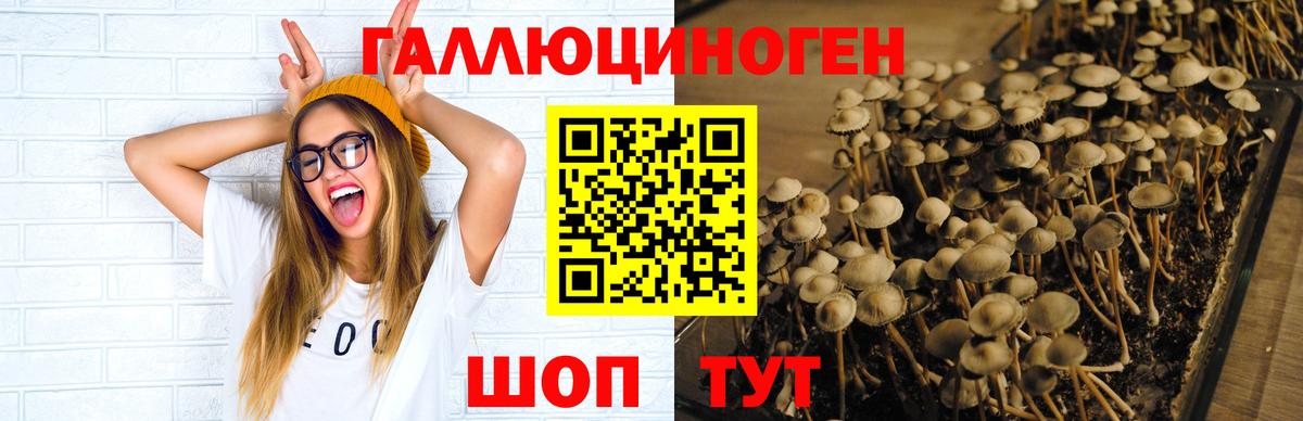 Дюртюли  Псилоцибиновые грибы прущие грибы  Вход с VPN  где купить наркоту  Галлюциногенные грибы MAGIC MUSHROOMS 